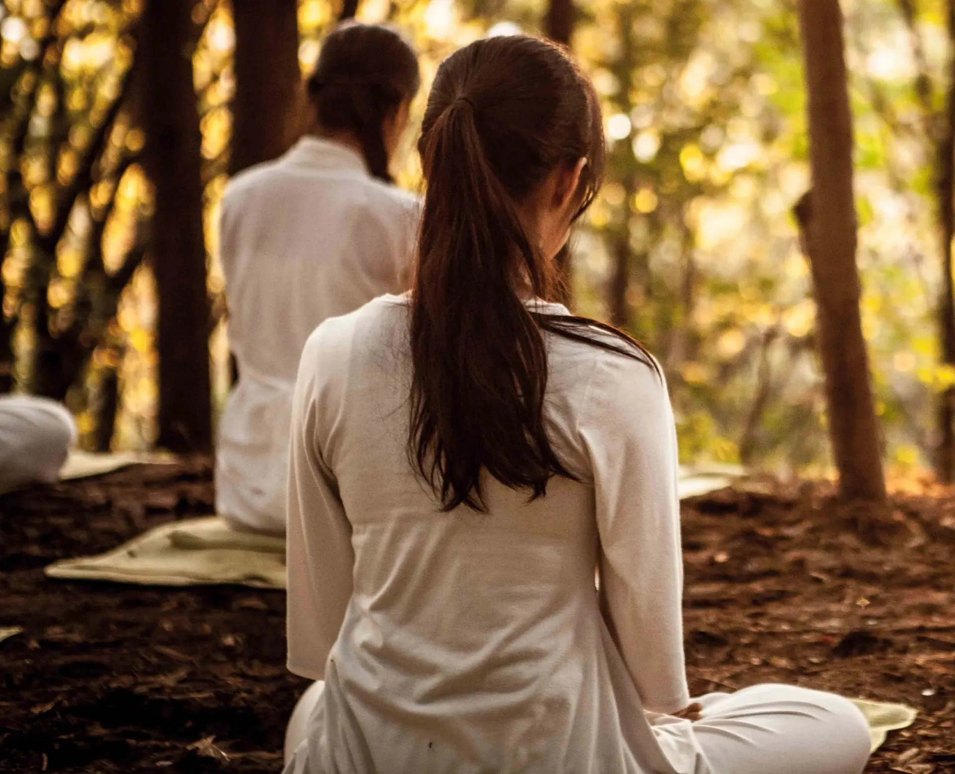 Women meditating together in a sunlit forest during a group meditation session